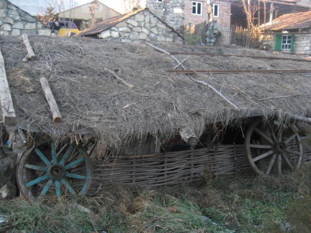 Dondi-Yurt-8