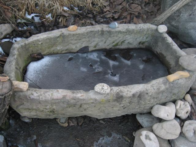 Dondi-Yurt-18